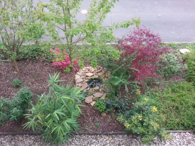 Bald ist wieder PFLANZZEIT im Garten!